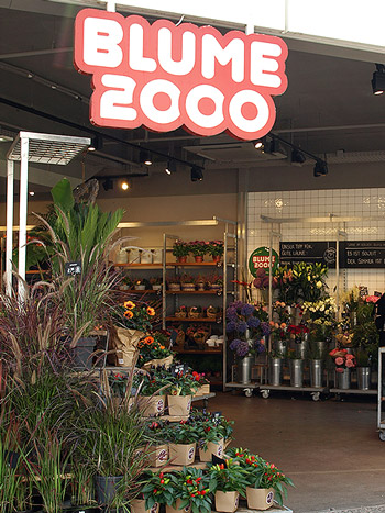 Bild EKT Farmsen Shop Blume 2000